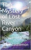 The Mystery of Lost River Canyon (eBook, PDF)