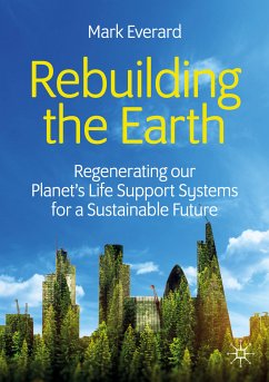 Rebuilding the Earth (eBook, PDF) - Everard, Mark