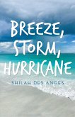 Breeze, Storm, Hurricane (eBook, ePUB)