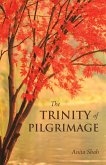 The Trinity of Pilgrimage (eBook, ePUB)