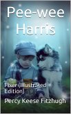 Pee-wee Harris: Fixer (eBook, ePUB)