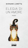 Elegia di un amore (eBook, ePUB)