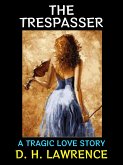 The Trespasser (eBook, ePUB)