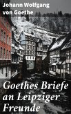 Goethes Briefe an Leipziger Freunde (eBook, ePUB)