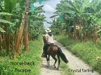 Horseback Escape (eBook, ePUB)