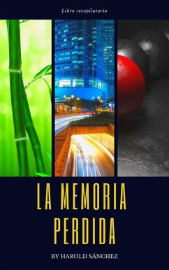 La Memoria Perdida - Libro Recopilatorio (eBook, ePUB) - Sanchez, Harold