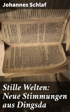 Stille Welten: Neue Stimmungen aus Dingsda (eBook, ePUB) - Schlaf, Johannes