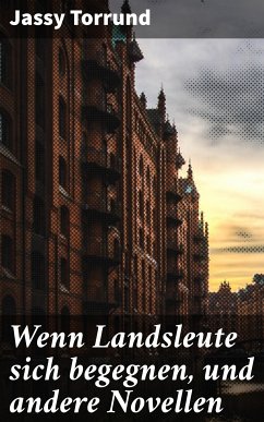 Wenn Landsleute sich begegnen, und andere Novellen (eBook, ePUB) - Torrund, Jassy