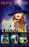 Another Bundle of Trouble (The Lynlee Lincoln Series Books 4-6) (eBook, ePUB)