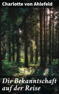 Cover Die Bekanntschaft auf der Reise (eBook, ePUB)