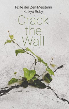 Crack the Wall (eBook, ePUB)