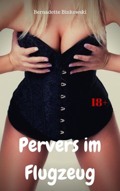 Cover Pervers im Flugzeug (eBook, ePUB)