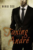 Taxing Andre (eBook, ePUB)