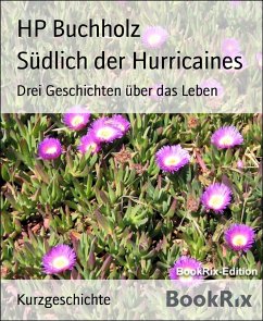 Südlich der Hurricaines (eBook, ePUB) - Buchholz, HP