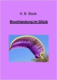 Bruchlandung im Glück (eBook, ePUB)