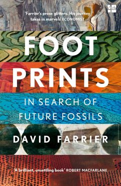 Footprints (eBook, ePUB) - Farrier, David