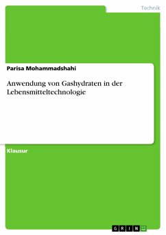 Anwendung von Gashydraten in der Lebensmitteltechnologie (eBook, PDF) - Mohammadshahi, Parisa