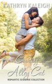 Courting Alley Cat (Romantic Suspense Collection, #3) (eBook, ePUB)