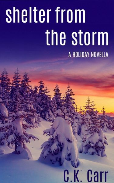 Shelter from the Storm (eBook, ePUB)