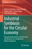 Industrial Symbiosis for the Circular Economy (eBook, PDF)