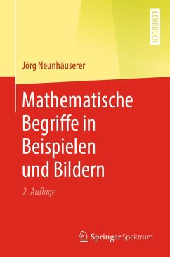 Mathematische Begriffe in Beispielen und Bildern (eBook, PDF) - Neunhäuserer, Jörg
