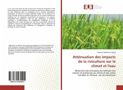 Atténuation des impacts de la riziculture sur le climat et l'eau - Manouore Njoya, Awawou