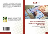 Appui scientifique de la comptabilité des sociétés SYSCOHADA