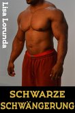 Schwarze Schwängerung (eBook, ePUB)