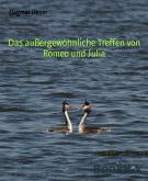 Das außergewöhnliche Treffen von Romeo und Julia (eBook, ePUB)