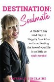 Destination: Soulmate (eBook, ePUB)