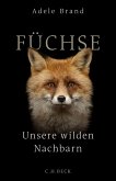 Füchse (eBook, ePUB)