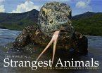 The World's Strangest Animals (eBook, ePUB)