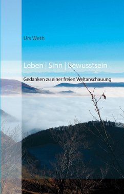Leben Sinn Bewusstsein (eBook, ePUB) - Weth, Urs