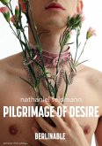 Pilgrimage of Desire (eBook, ePUB)