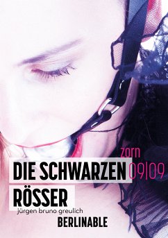 Die schwarzen Rösser - Folge 9 (eBook, ePUB) - Greulich, Jürgen Bruno