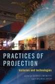 Practices of Projection (eBook, ePUB)