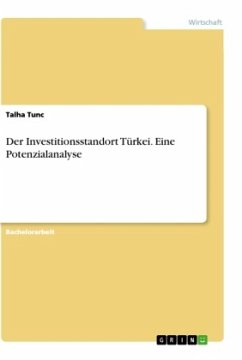 Der Investitionsstandort Türkei. Eine Potenzialanalyse