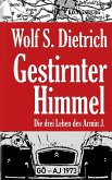 Gestirnter Himmel (eBook, ePUB)