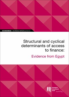 EIB Working Papers 2019/10 - Structural and cyclical determinants of access to finance (eBook, ePUB)