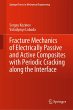 Fracture Mechanics of Electrically... - Bild 1