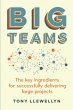 Big Teams - Bild 1