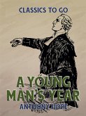 A Young Man's Year (eBook, ePUB)