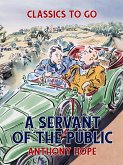 A Servant of the Public (eBook, ePUB)