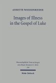 Images of Illness in the Gospel of Luke (eBook, PDF)