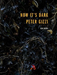 Now It's Dark - Gizzi, Peter