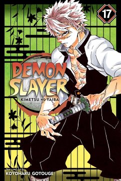 Cover Demon Slayer: Kimetsu No Yaiba, Vol. 17