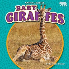 Baby Giraffes - Brinker, Spencer