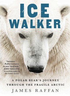 Ice Walker - Raffan, James