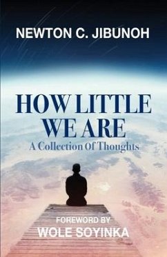 How Little We Are: A Collection of Thoughts - Jibunoh, Newton C.