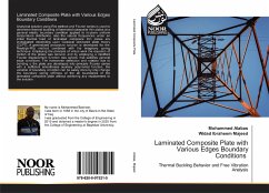 Laminated Composite Plate with Various Edges Boundary Conditions - Alabas, Mohammed;Majeed, Widad Ibraheem